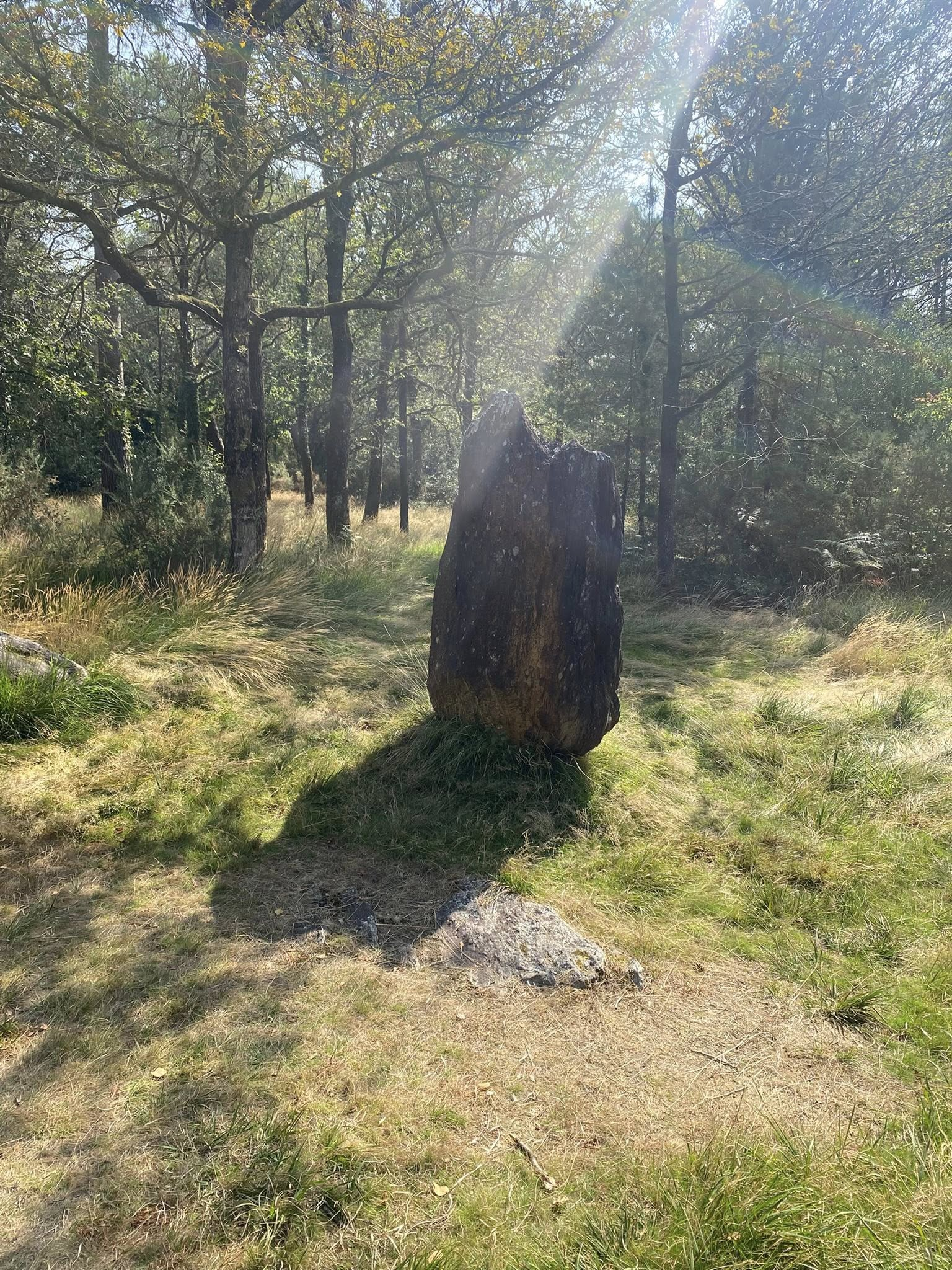 Staande steen in zonlicht tussen bomen