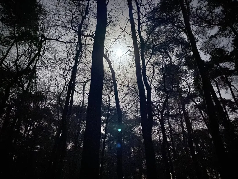 Natuurverbinding en gegronde spiritualiteit bij AHO-Zeeland